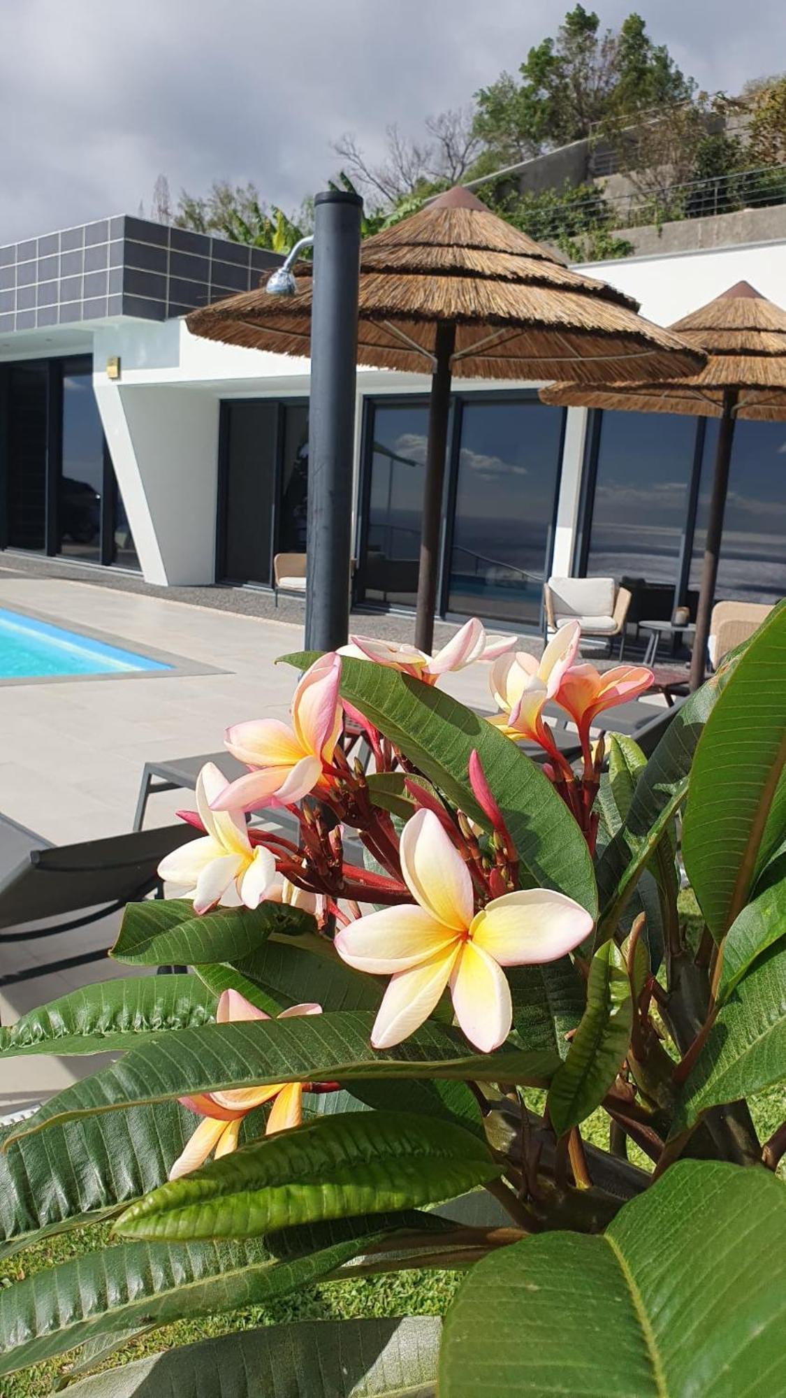 Villa Brava Atlântico Ribeira Brava Extérieur photo